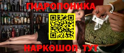 твердый Славгород