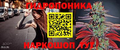 твердый Славгород