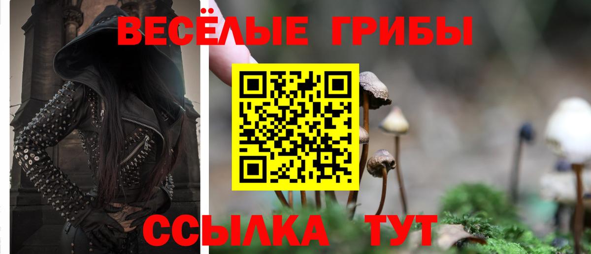 Павлово  Галлюциногенные грибы Cubensis  купить   Галлюциногенные грибы Magic Shrooms  Вход с VPN 